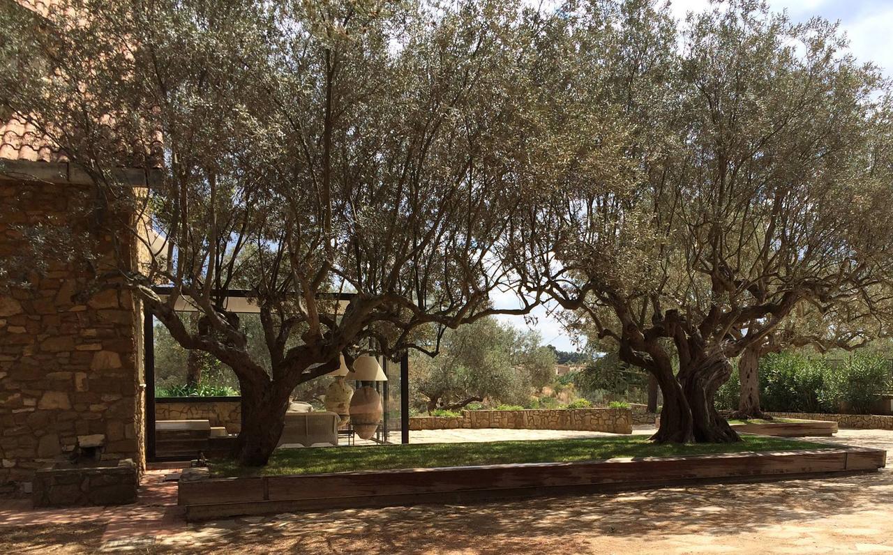 كالتاجيروني B&B La Collegiata المظهر الخارجي الصورة