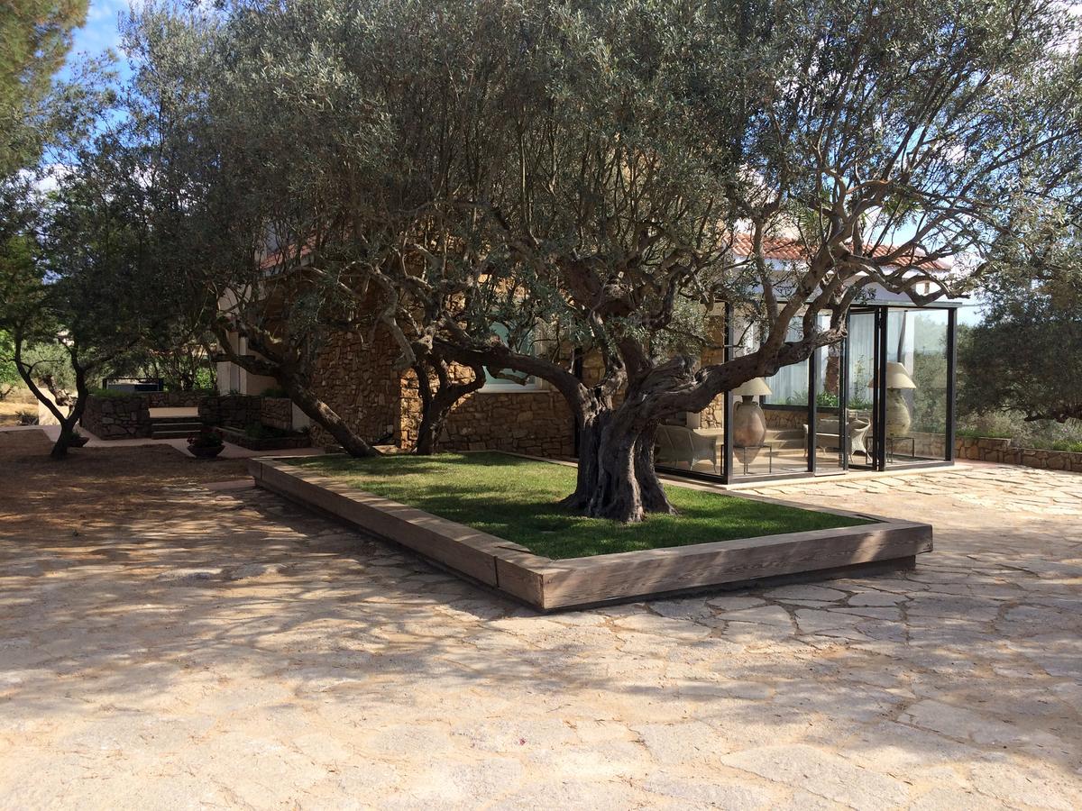 كالتاجيروني B&B La Collegiata المظهر الخارجي الصورة